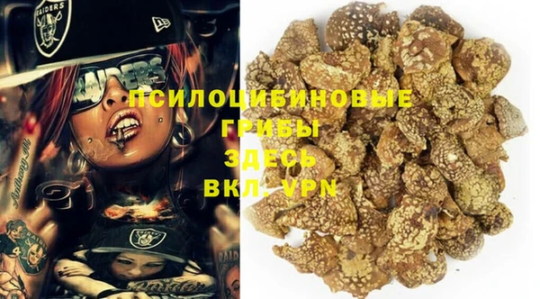 стафф Балахна