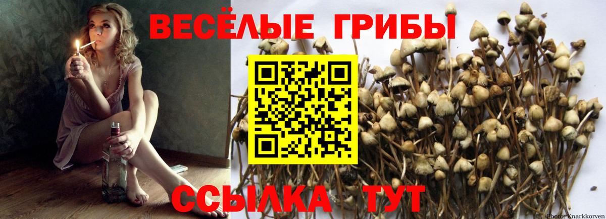 Псилоцибиновые грибы мухоморы  Вход с VPN  что такое   Галлюциногенные грибы MAGIC MUSHROOMS  Вольск 
